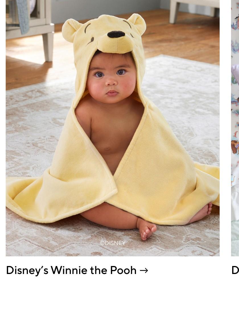 Disney's Winnie the Pooh